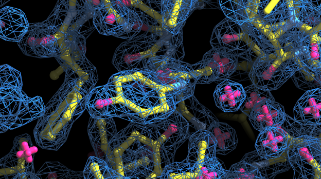 Home Page: protein structure 