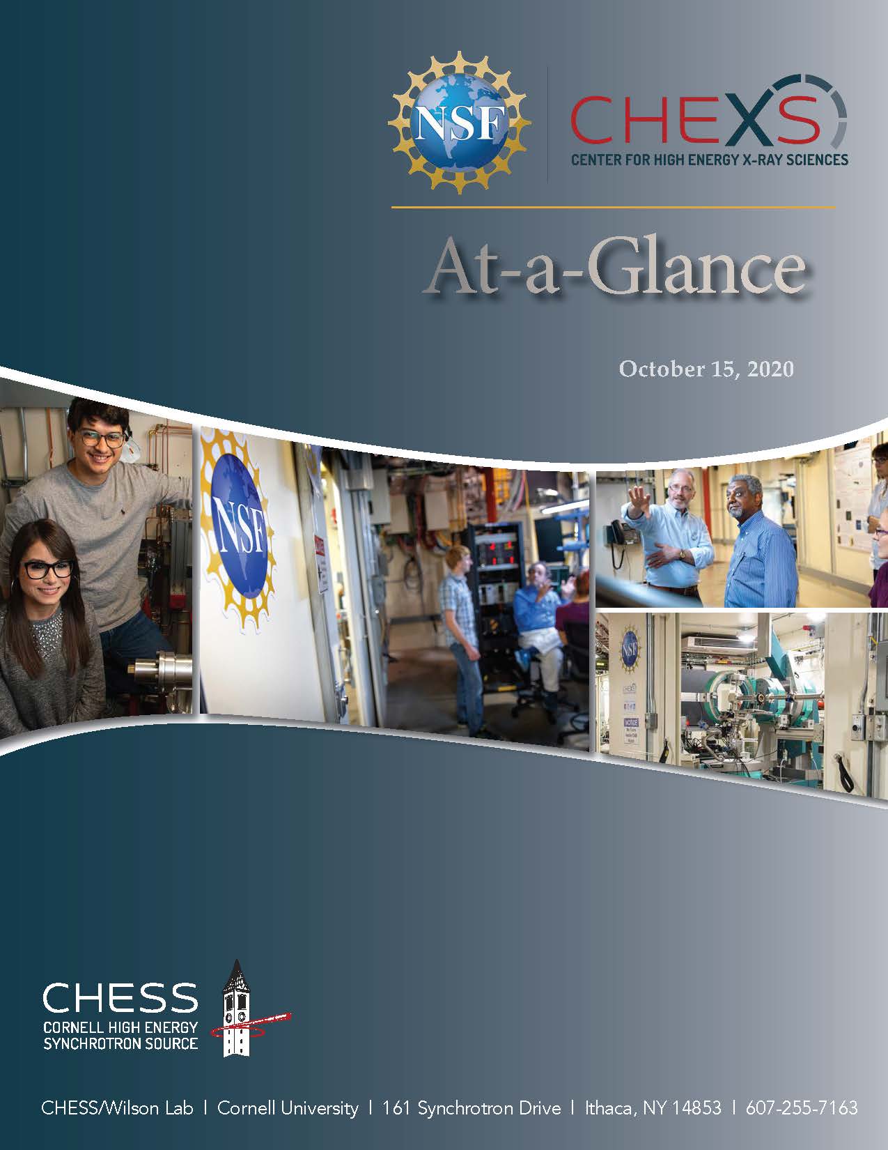 CHEXS At-a-Glance Cover