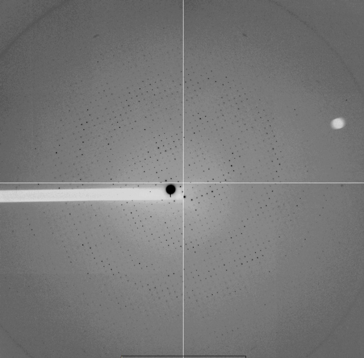 0 MPa pressure