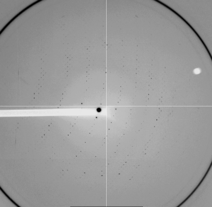 test image taken using a lysozyme crystal; pressure 400 MPA, 5-second exposure, 1° oscillation