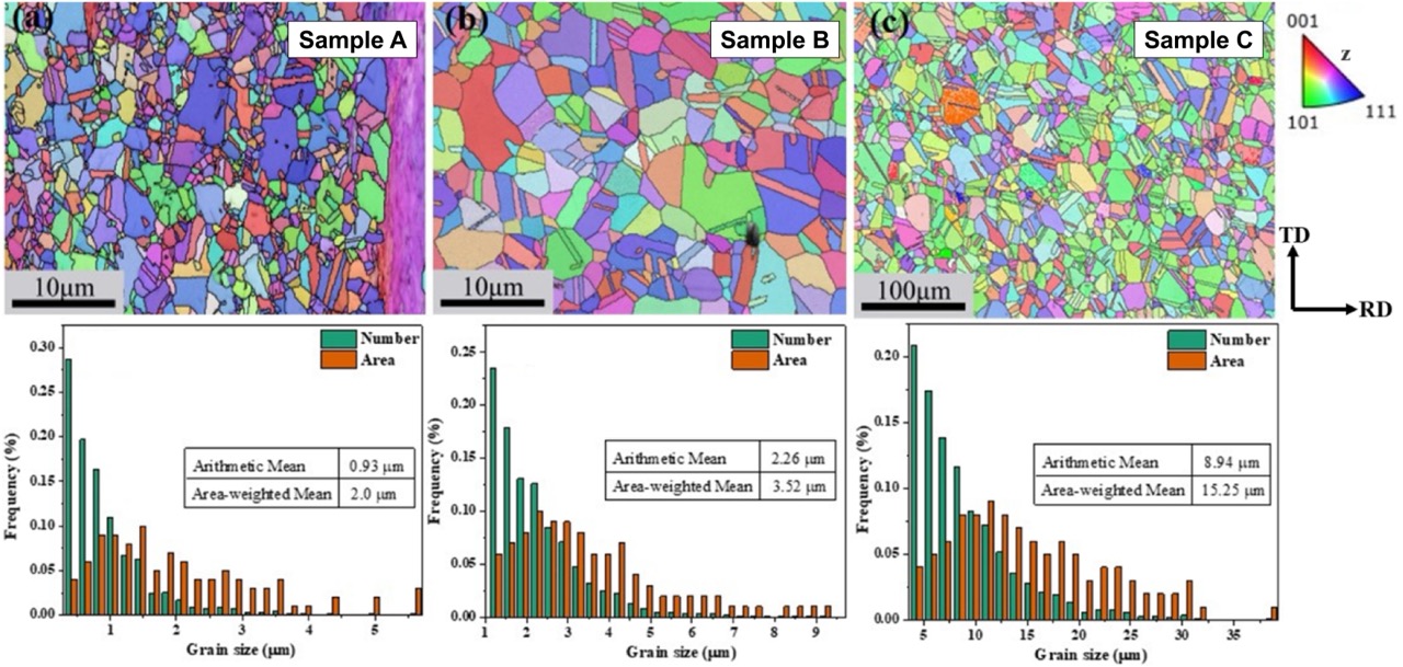 Spatial maps showing grain morphology and orientation, along with histograms of grain sizes, for three Fe-18Cr-12Ni alloys (labelled A, B, and C) with increasing PAGS, achieved by increasing the annealing temperature during sample fabrication.