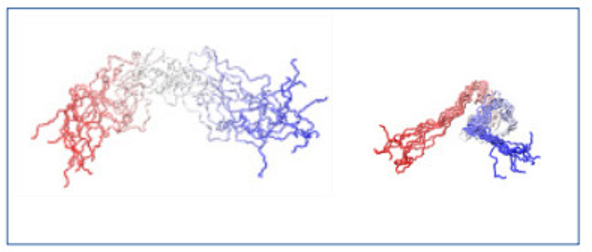 Simulations of N-terminal domain