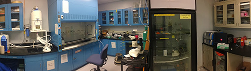 G-line chem room