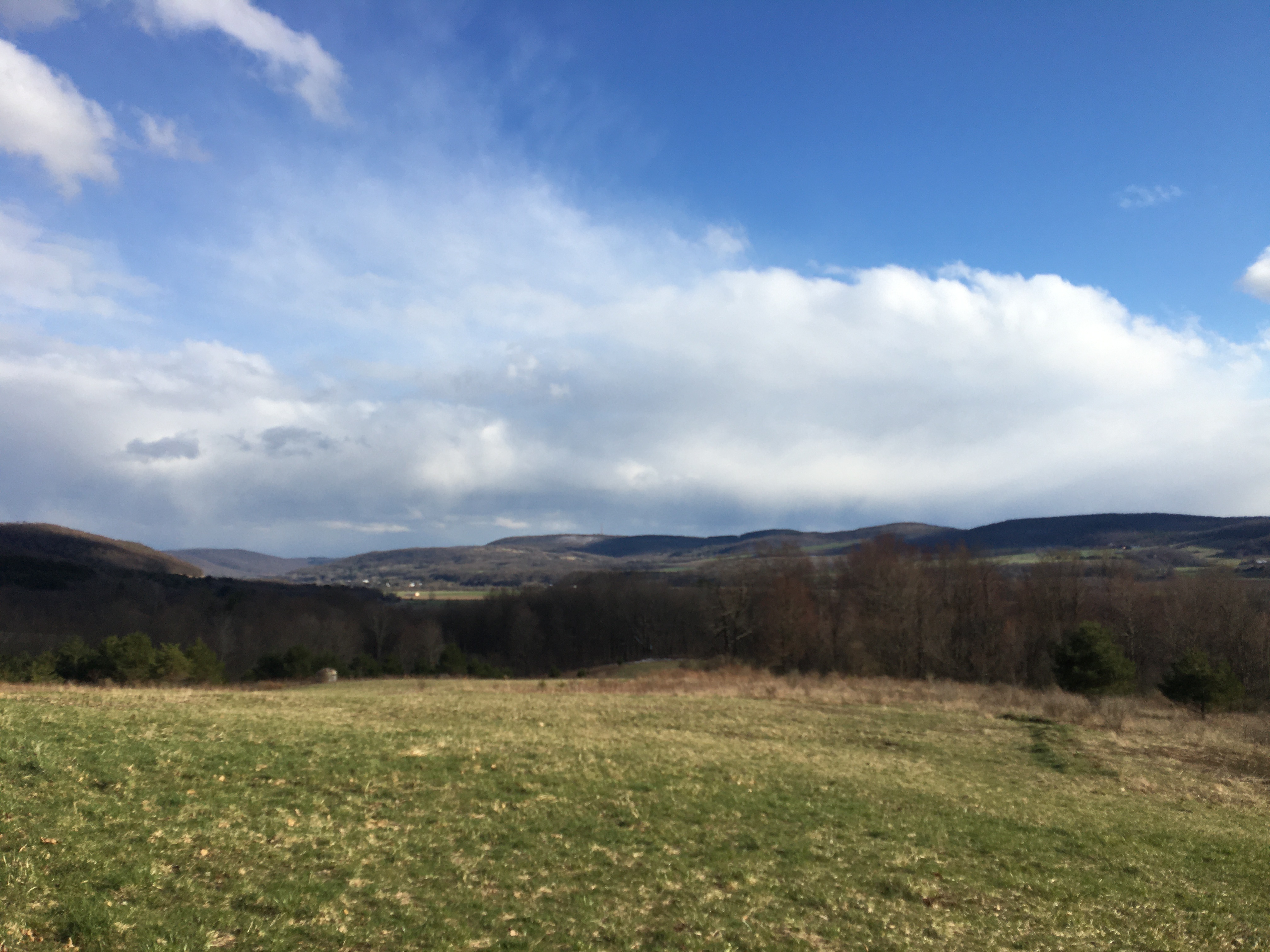 A nice view from a trail run... worth the effort!