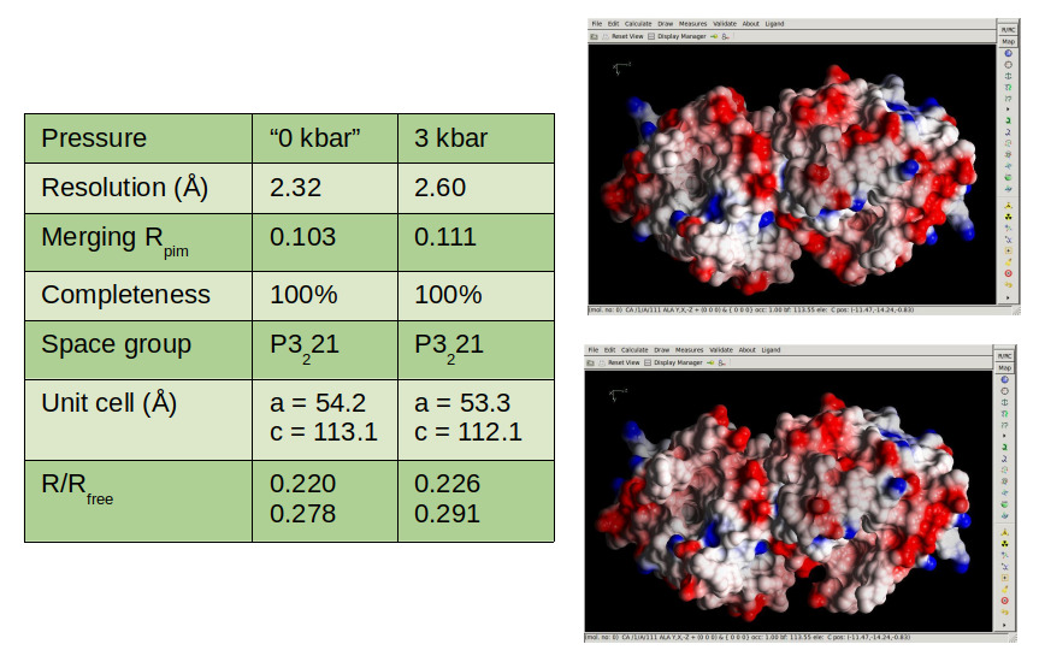 image of beta-lactoglobulin structures