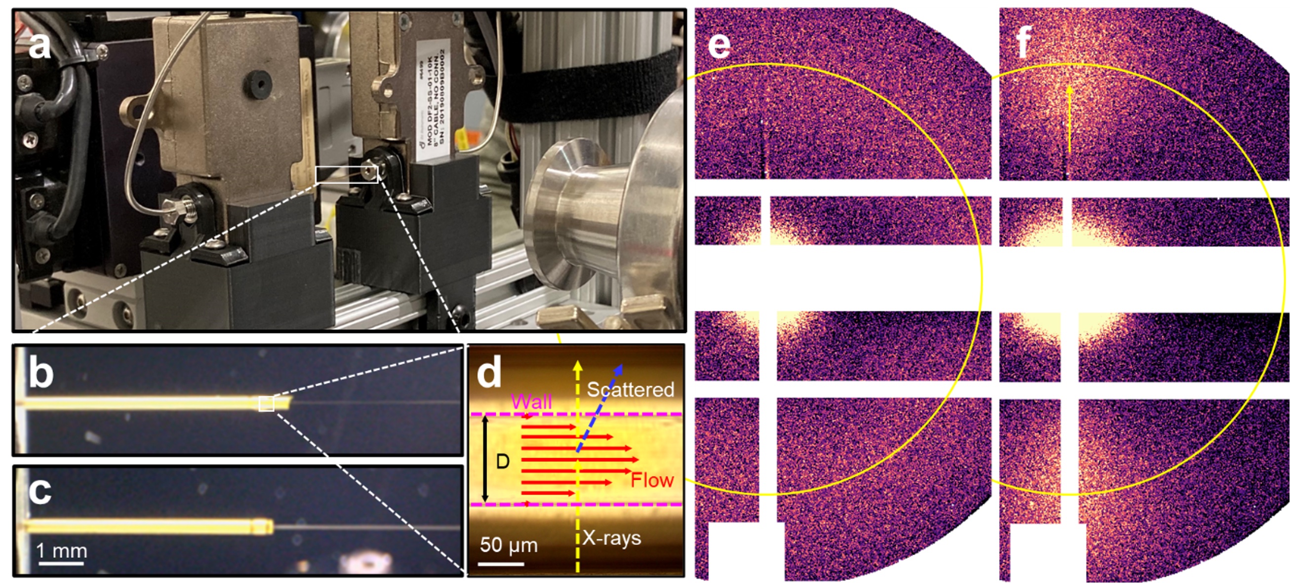 image of experimental setup, description in caption