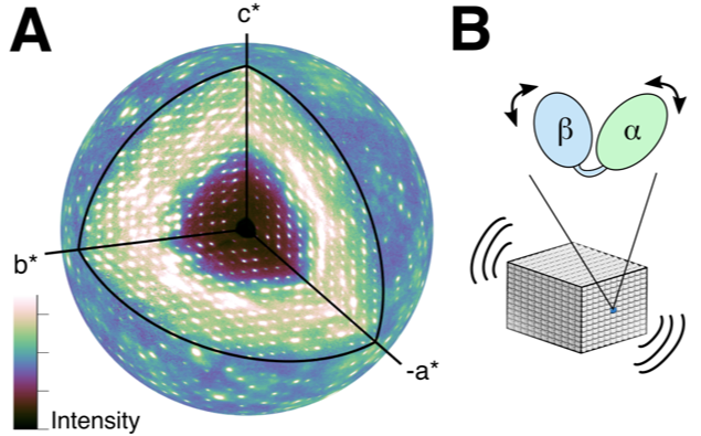 Three-dimensional map of diffuse scattering