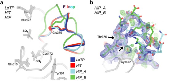 The three new STEP structures
