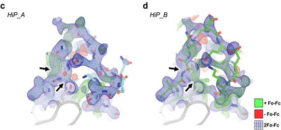 The three new STEP structures