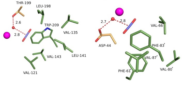 CO2 in the active sites