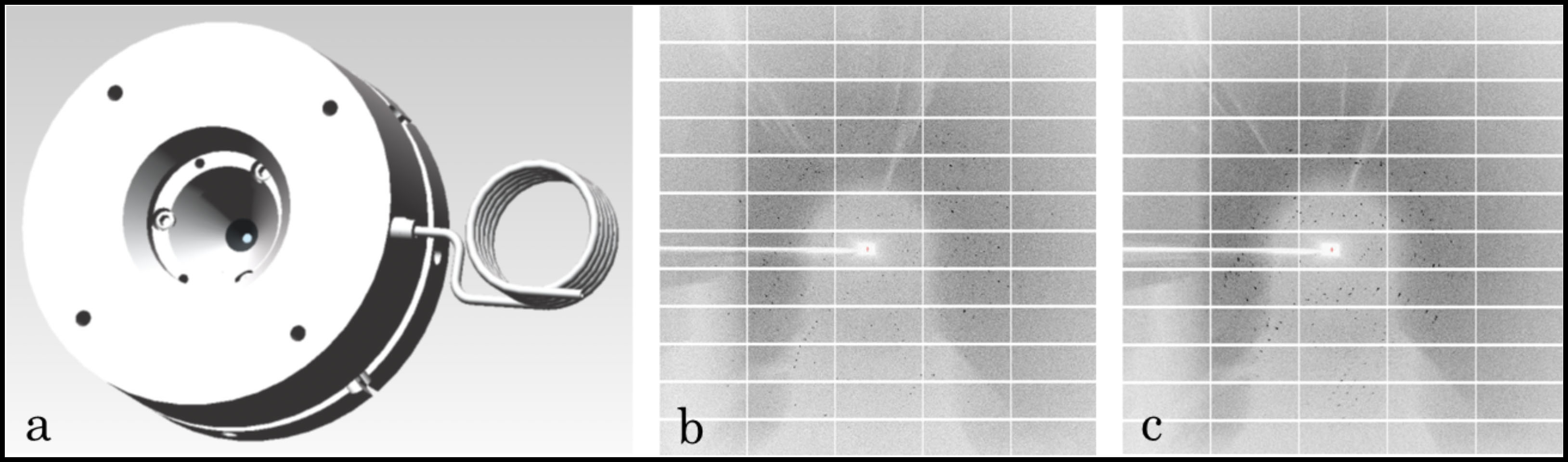 anvil cell and diffraction images