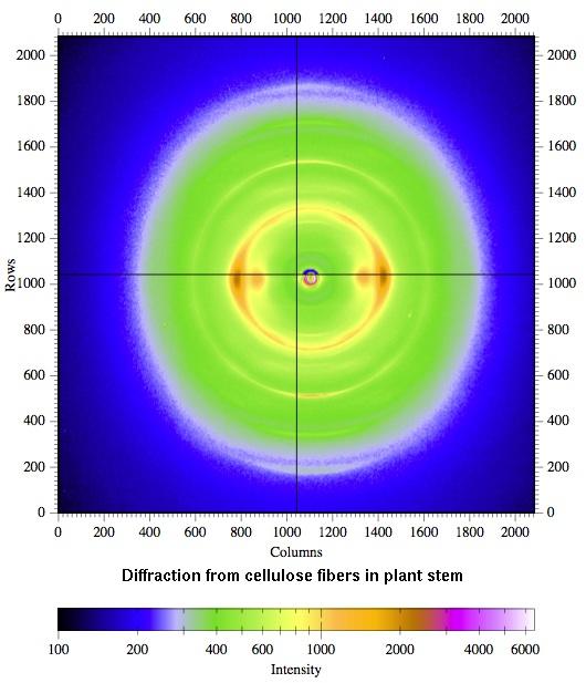 MacCHESS, Beyond the usual, Diffraction from cellulose fibers in plant stems, fig 2