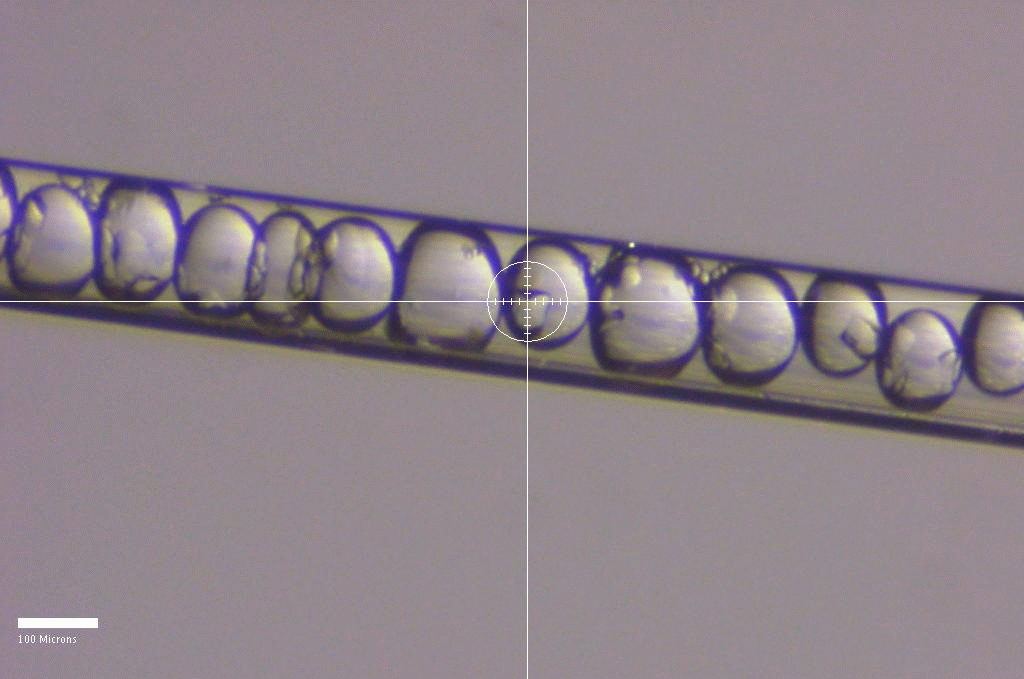 macCHESS: Beyond the usual, Diffraction from crystals in droplets in a capillary