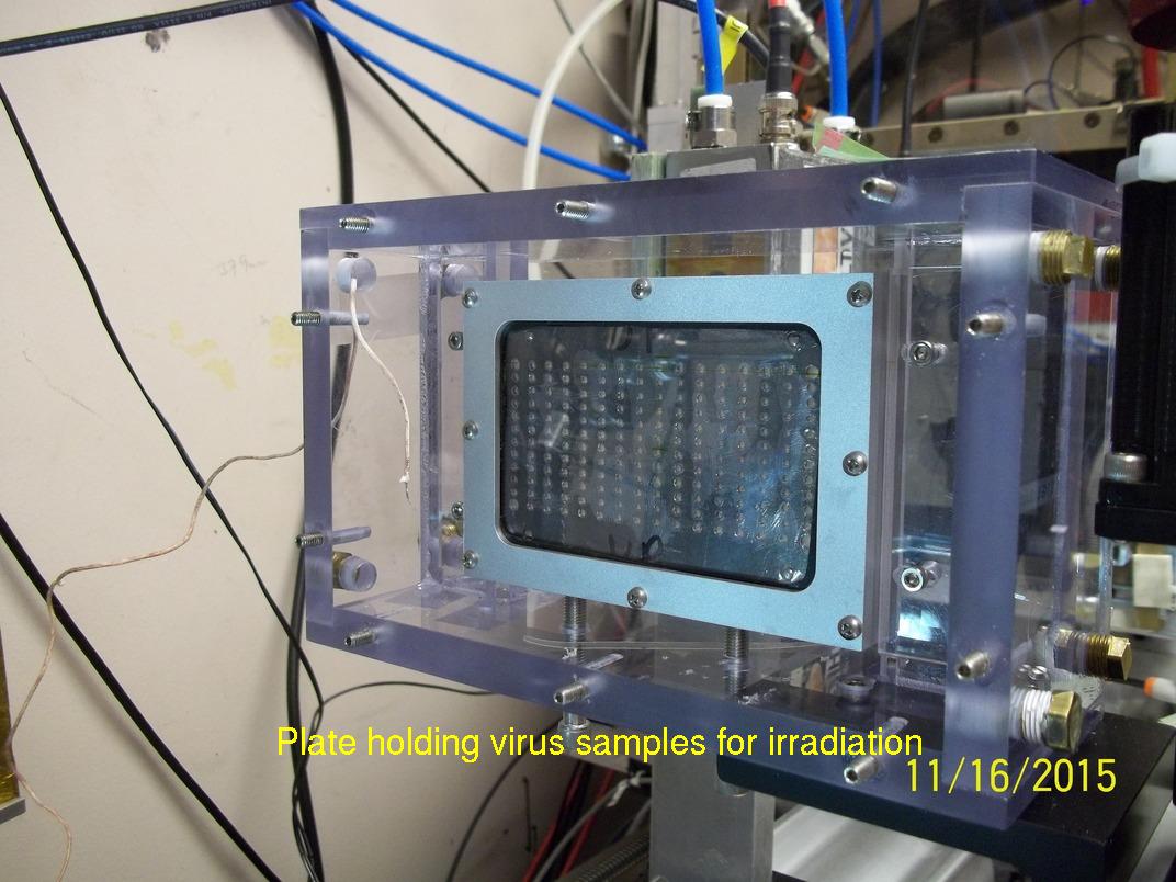 ​MacCHESS: Beyond the usual, Irradiation of virus samples with X-rays  ​