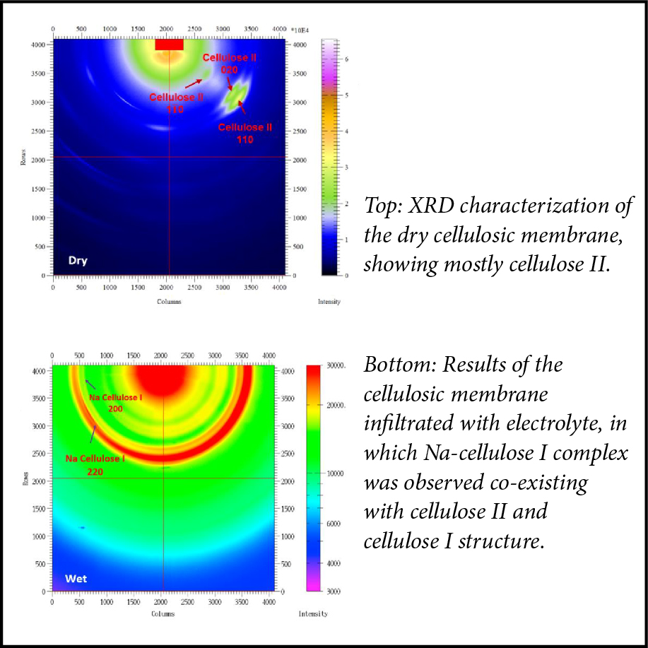 characterization of the dry cellulosic membrane, showing mostly cellulose II