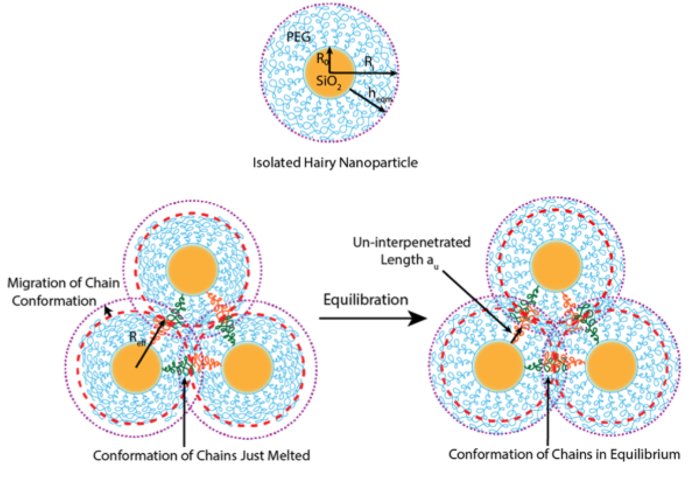 Microscopic illustration of the equilibration of hairy nanoparticles under geometric conﬁnement