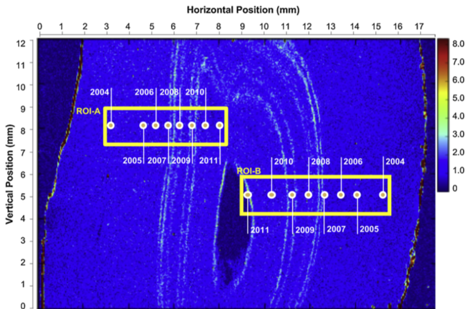 Horn growth timelines superimposed on Pb μXRF maps. Annual horn growth layers are labeled within symmetrical regions ROI-A and ROI-B, beginning with the oldest growth on the outside. 