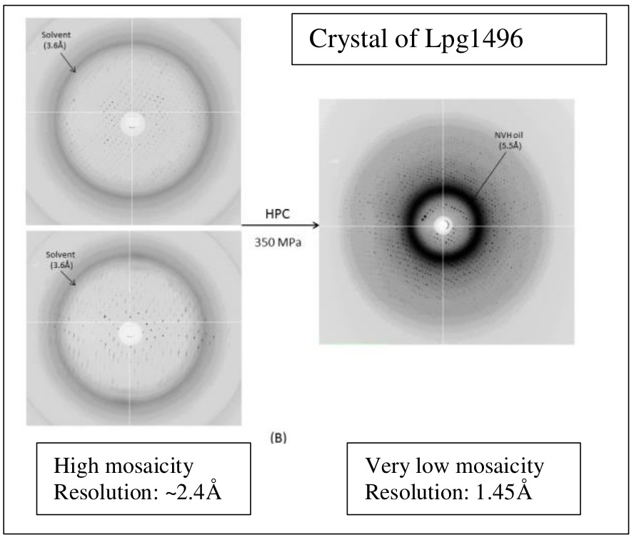 What can HPC: improved resolution from ~2.4 to 1.45 Å