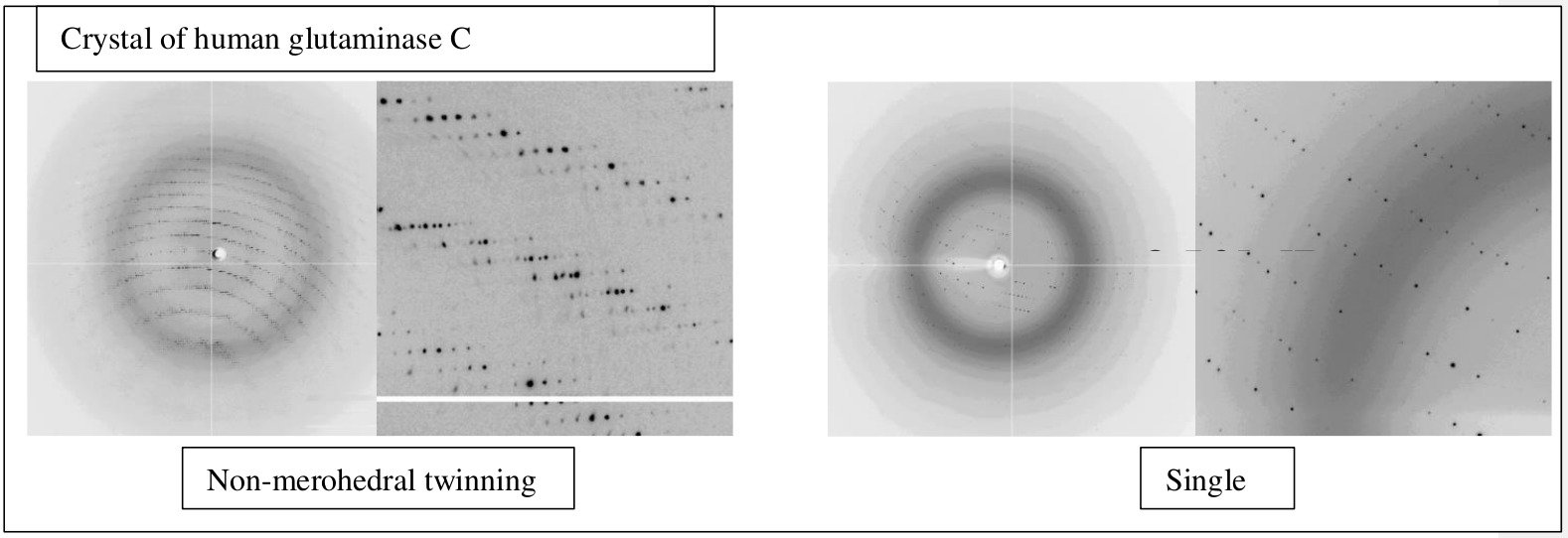 What can HPC: resolve non-merohedral twinning