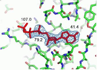 Albright, Pressure to stabilize bound ligands