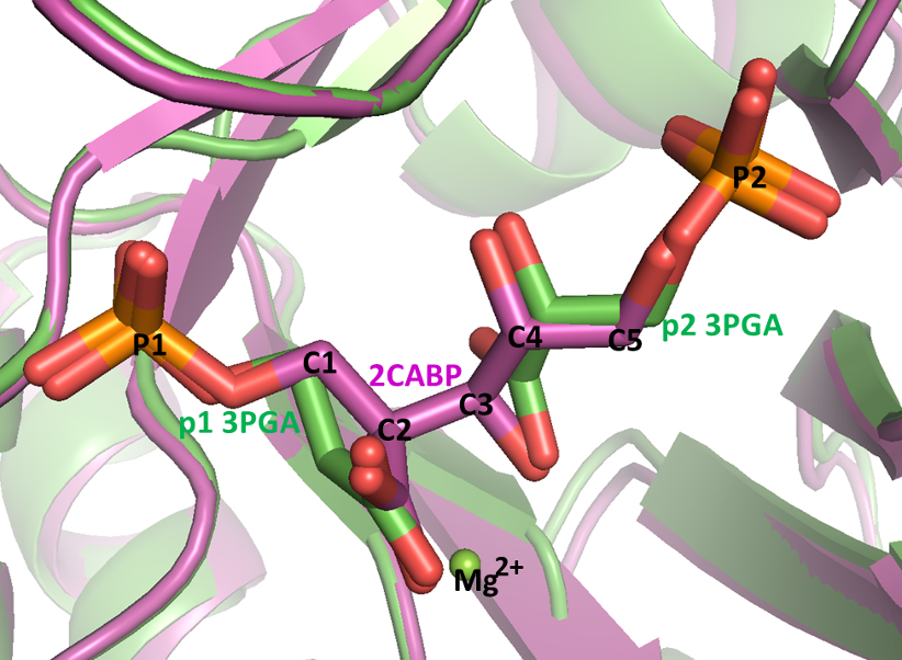 an image of molecules