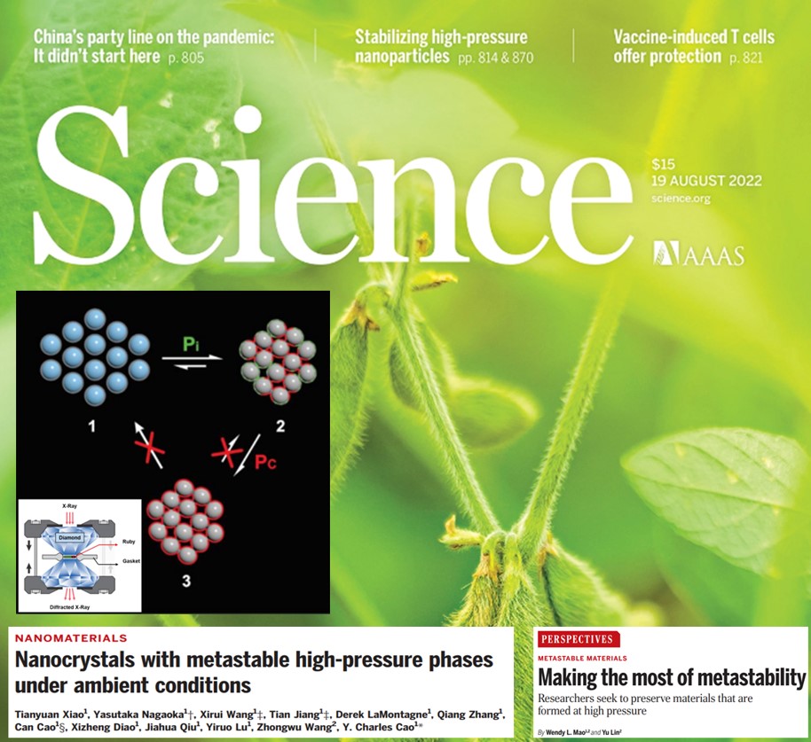 The cover of the science magazine in which this work appears