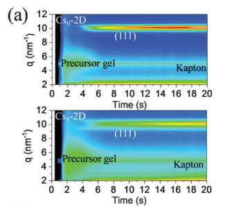 perovskite during solution-casting