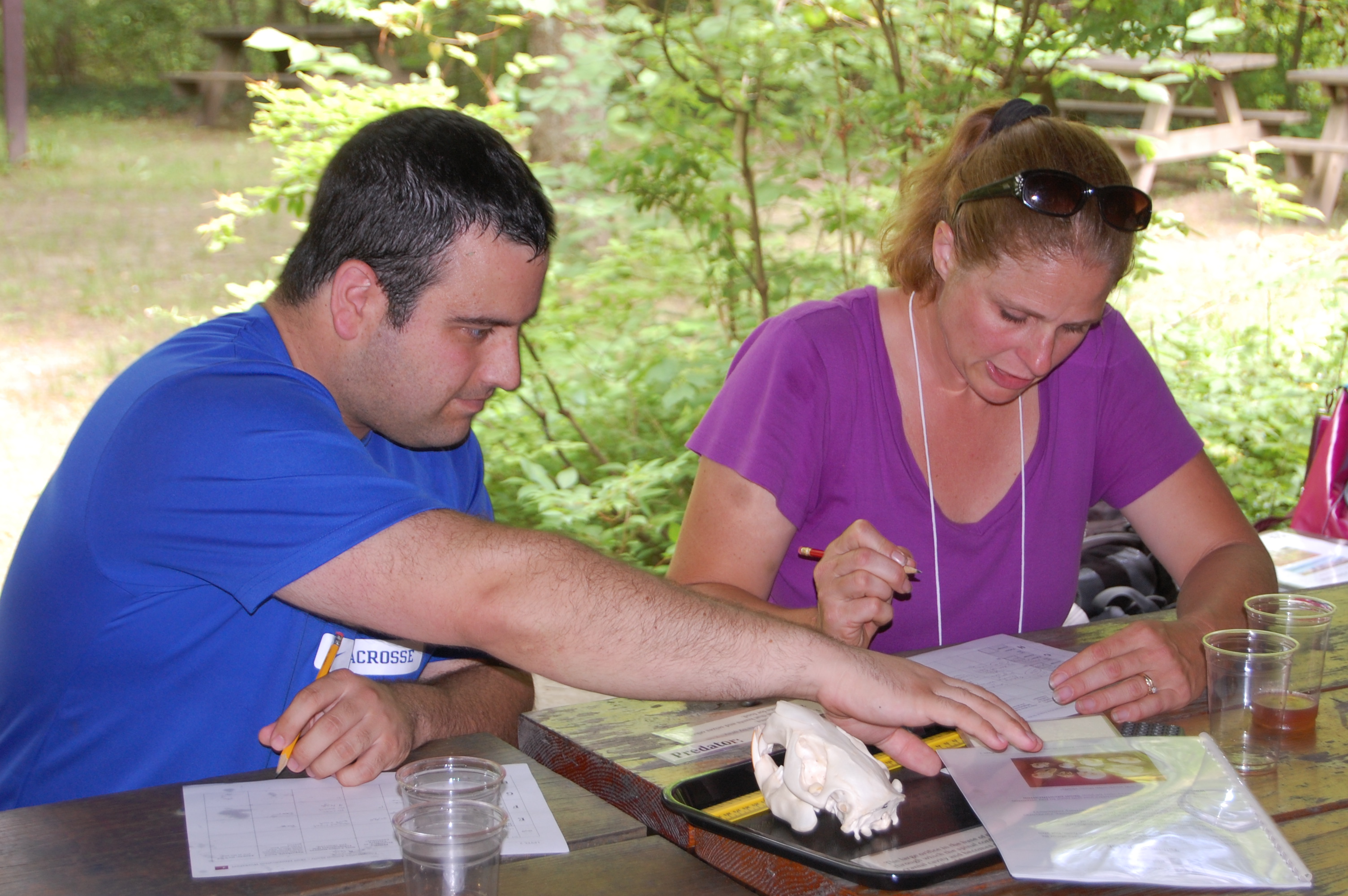 teachers and skull