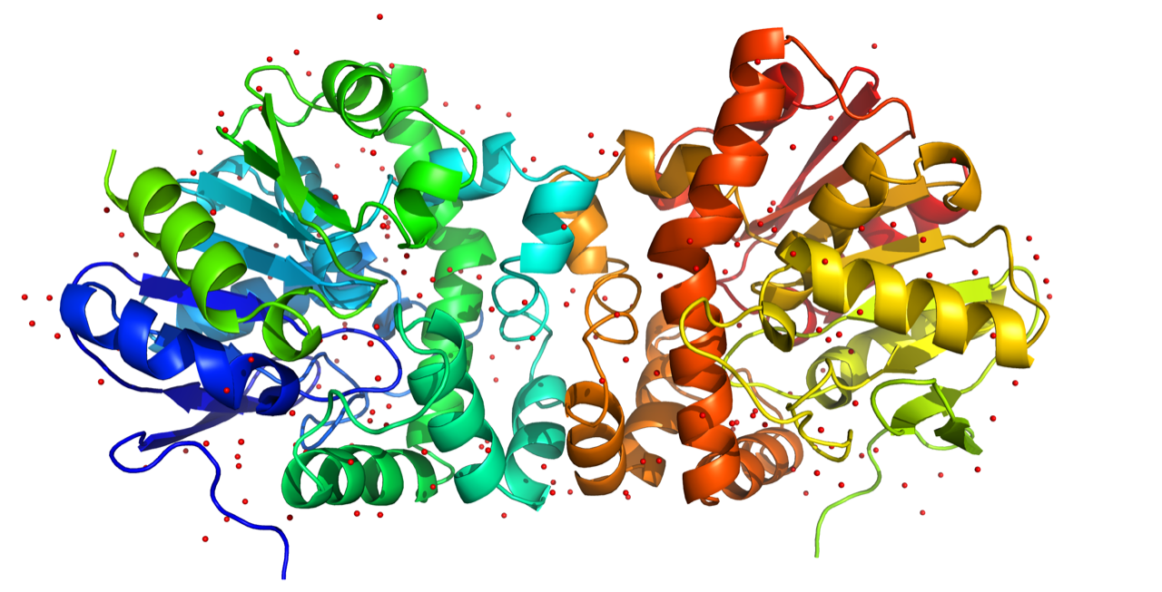 Protein image