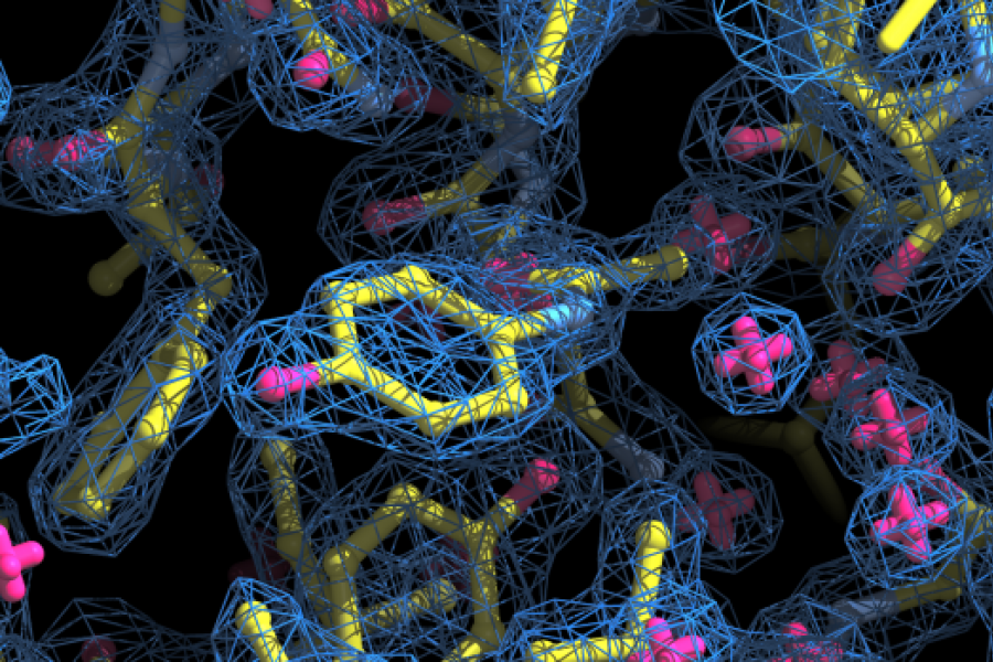 Home Page: protein structure 