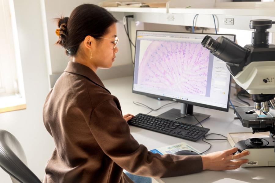 scientist at computer