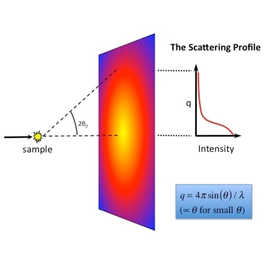 BioSAXS: protein solution scatteing profile