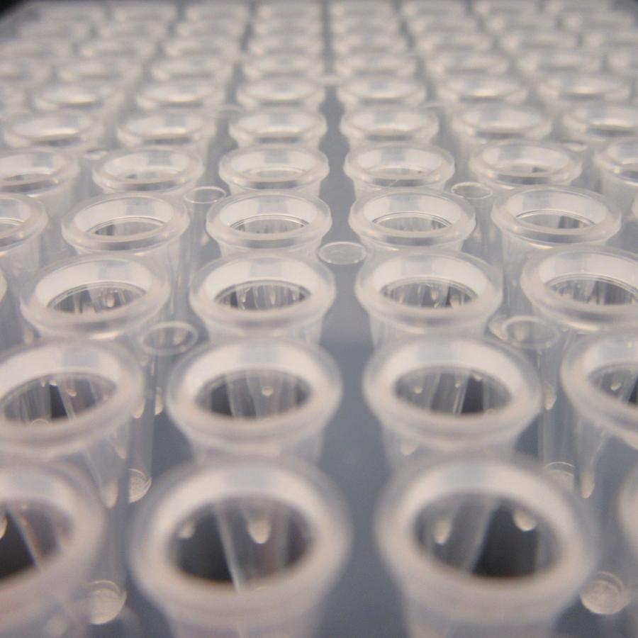 PCR plate