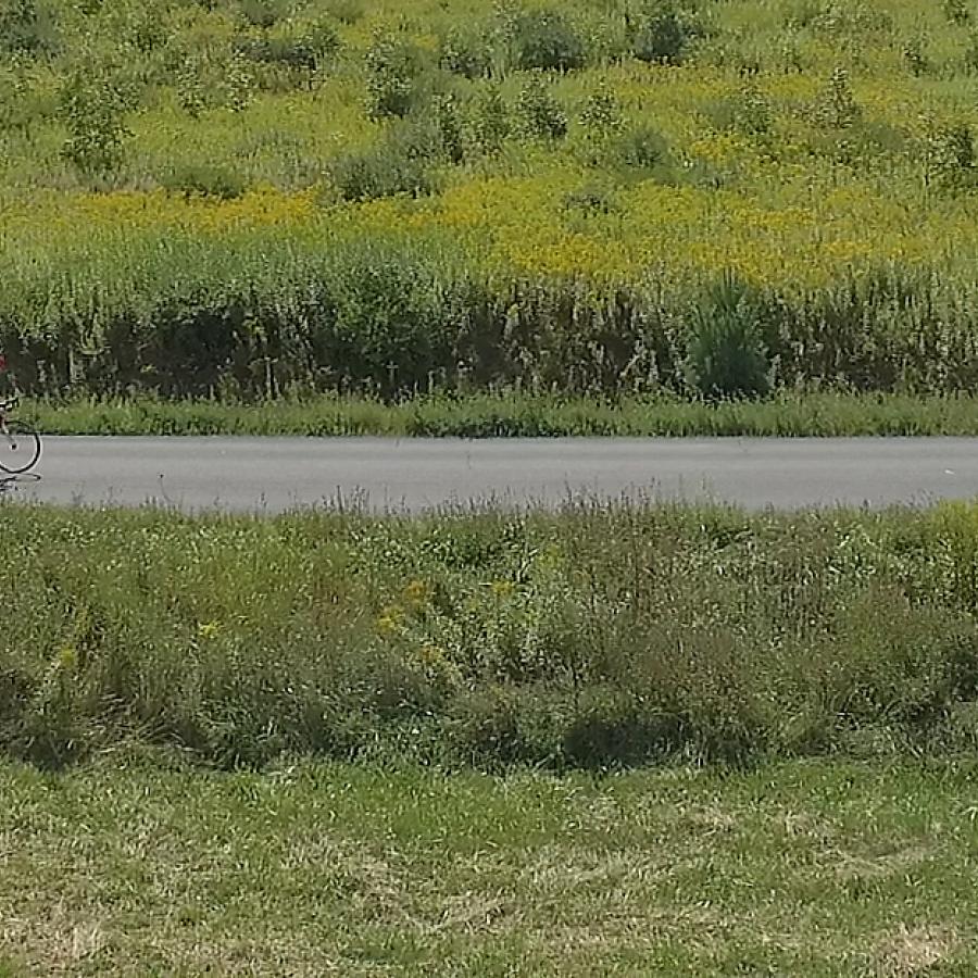 Katie Moring cycling through the hilss of ithaca
