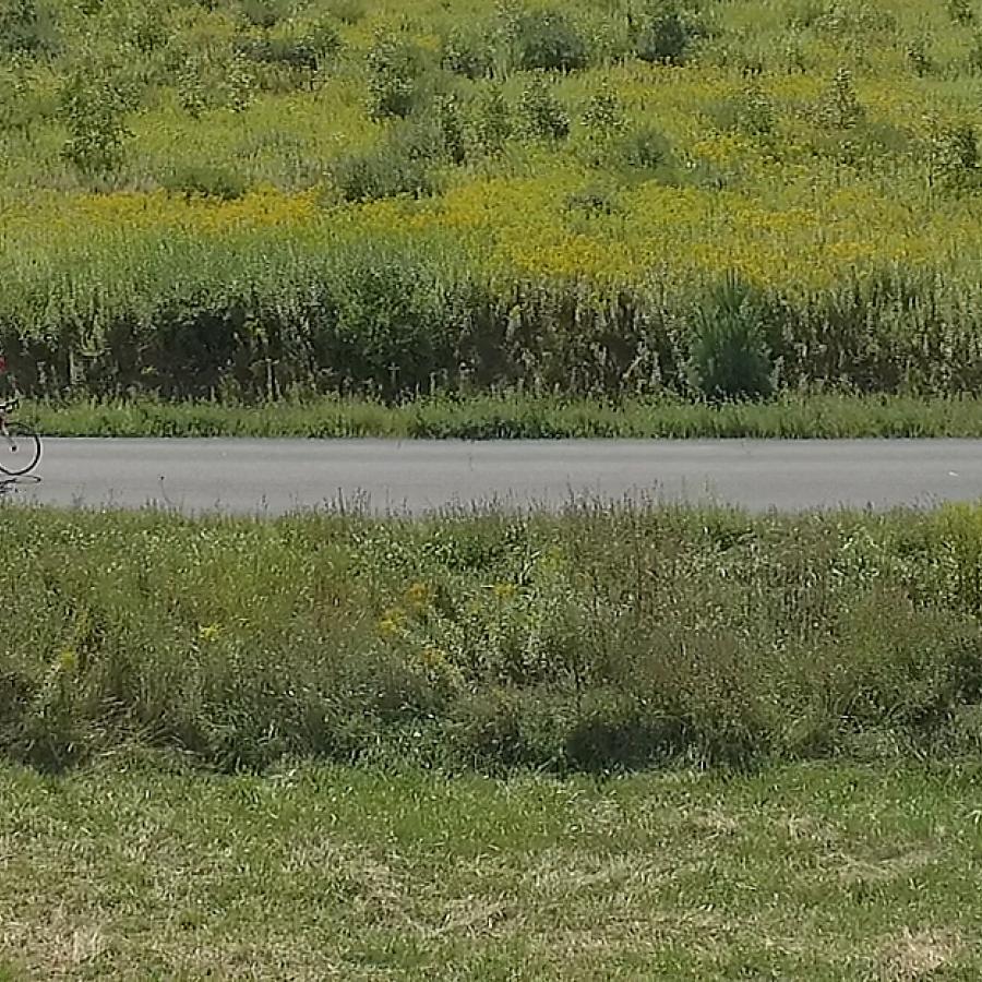 Katie Moring cycling through the hilss of ithaca