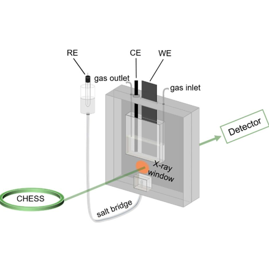 Schematic of the in situ XAS electrochemical cell.