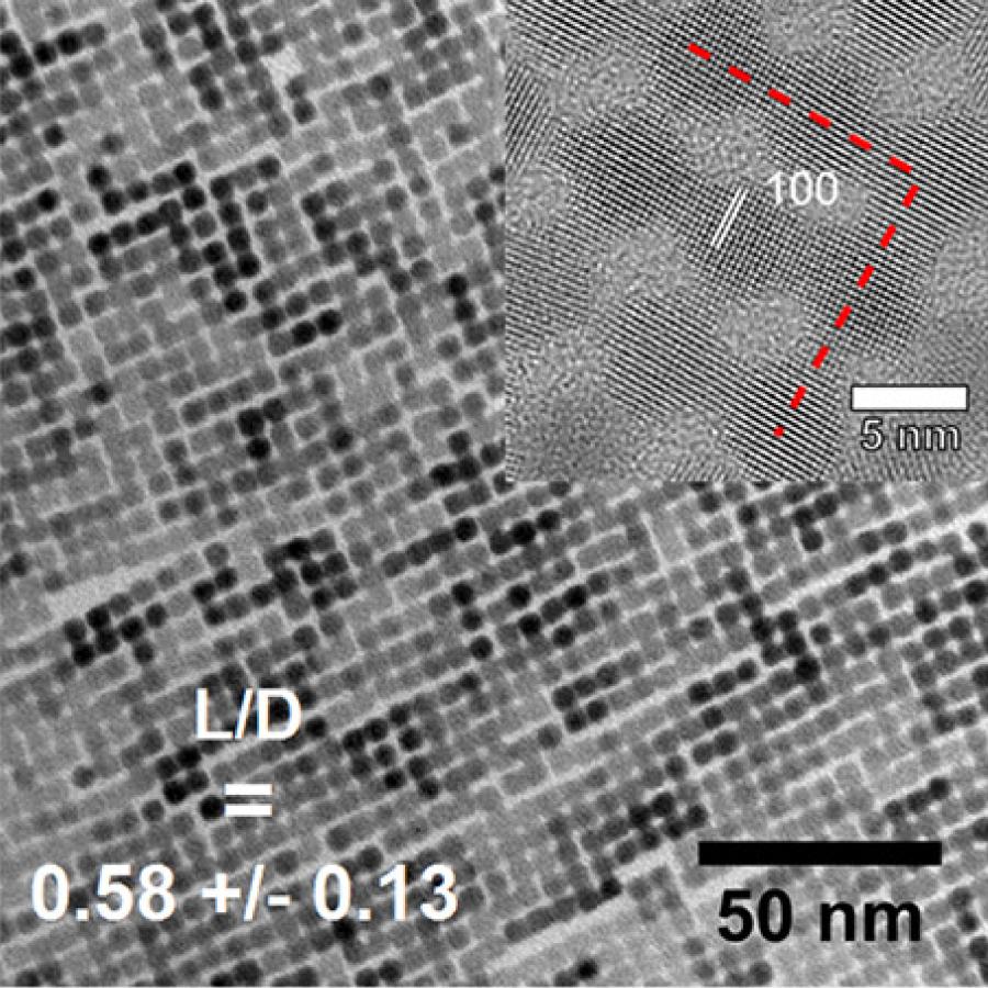 TEM image of a typical PbSe nanocrystal