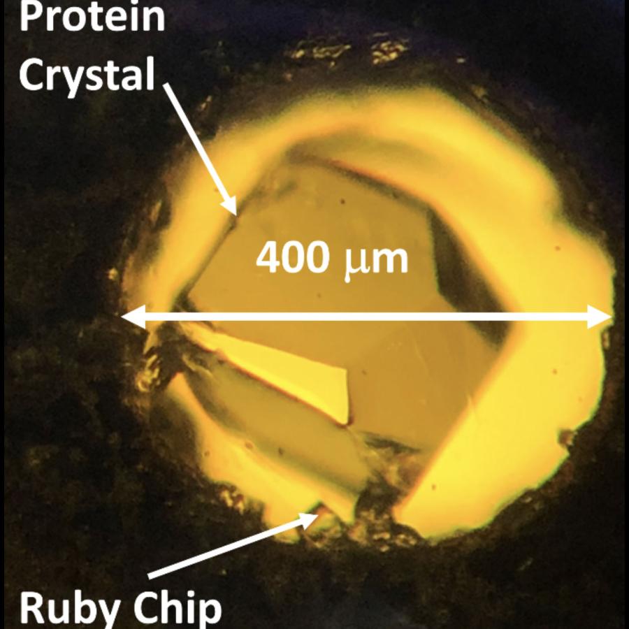 View into the diamond anvil cell