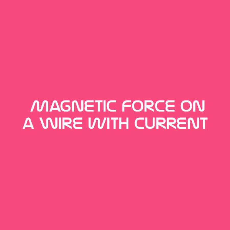 Magnetic Force on a Wire with Current