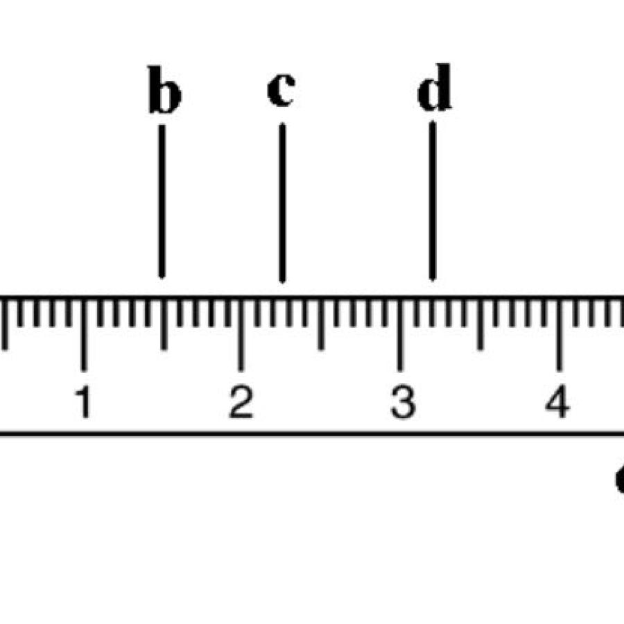 A picture of a ruler