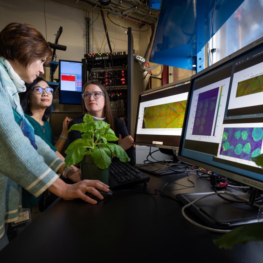 Scientists looking at plants and computers