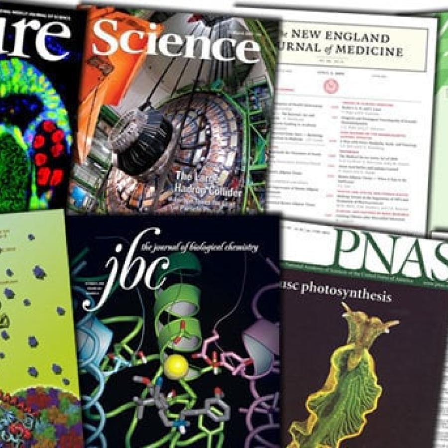 Publication Covers
