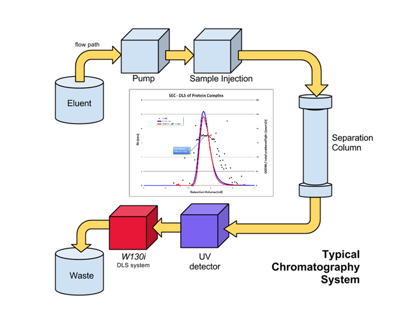 BioSAXS: SEC feature image