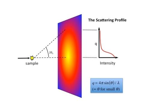 BioSAXS: protein solution scatteing profile