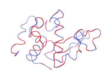 Superposition of the ribbon representations of the backbone chains of the structures solved with small crystals 