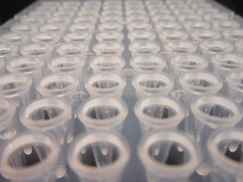 PCR plate