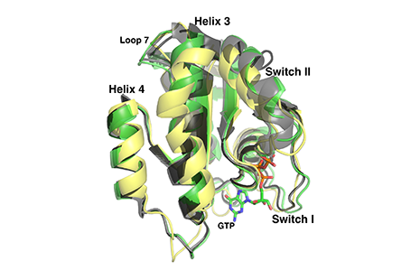 R‐state and T‐state conformational states