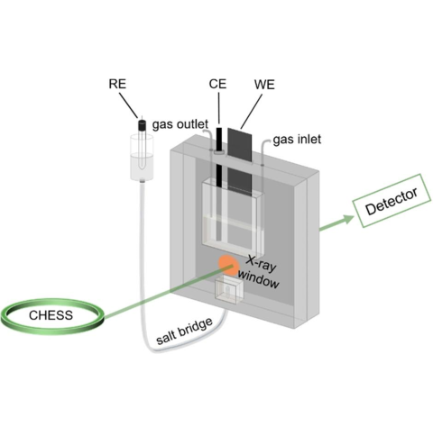 Schematic of the in situ XAS electrochemical cell.