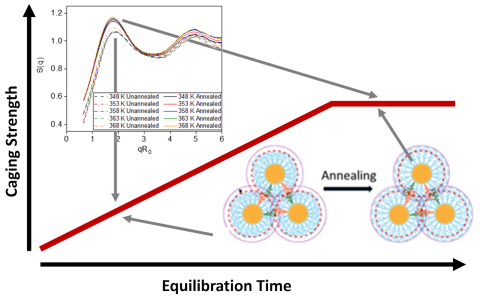 Schematic time dependence of caging strength in self-suspended hairy nanoparticles upon annealing.