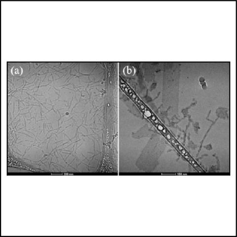 cryo-TEM images